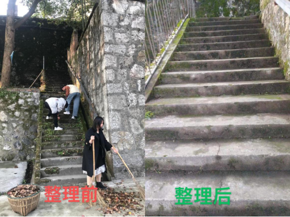 1616635055755567.png 1616635055755567.png