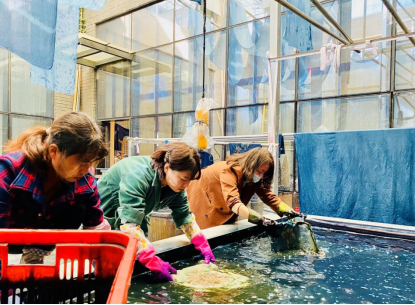 1638776651726573.png 圖片.png